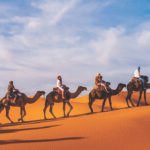 marruecos-de-viaje-camels
